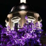 Rome: Santa Maria Maggiore Tour + Optional Terrace Access - Who Will Love This Tour?