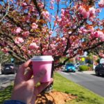 Roos, Blues & Views - Blue Mountains Day Tour w Lunch - A Deep Dive into the Experience
