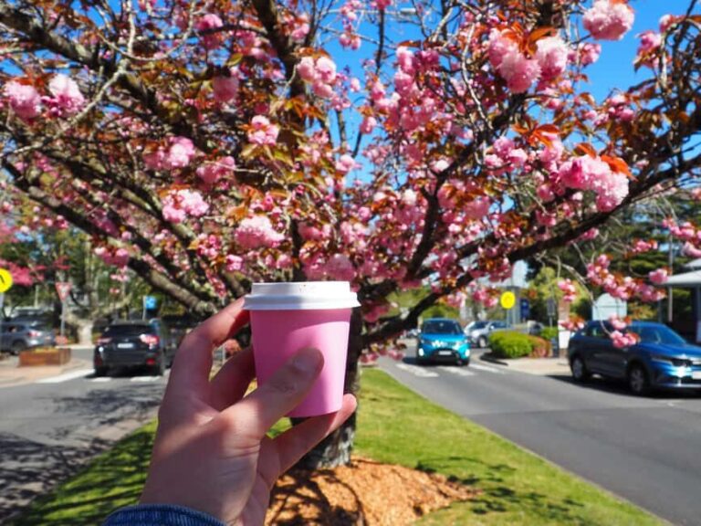 Roos, Blues & Views - Blue Mountains Day Tour w Lunch - A Deep Dive into the Experience