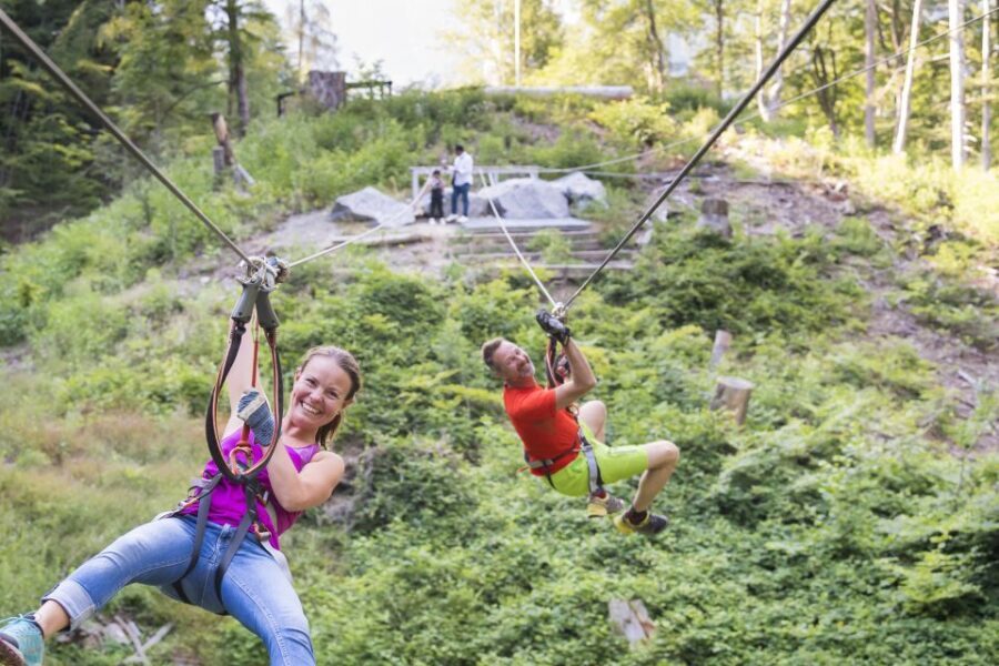 Rope Park Interlaken: Climbing Adventure with Entry Ticket - Practical Details for Your Visit