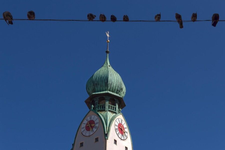 Rosenheim: Express Walk with a Local in 60 minutes - An In-Depth Look at the Rosenheim Express Walk