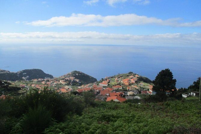 Rota do Açucar - Levada Nova (Half Day Walk) - The Sum Up