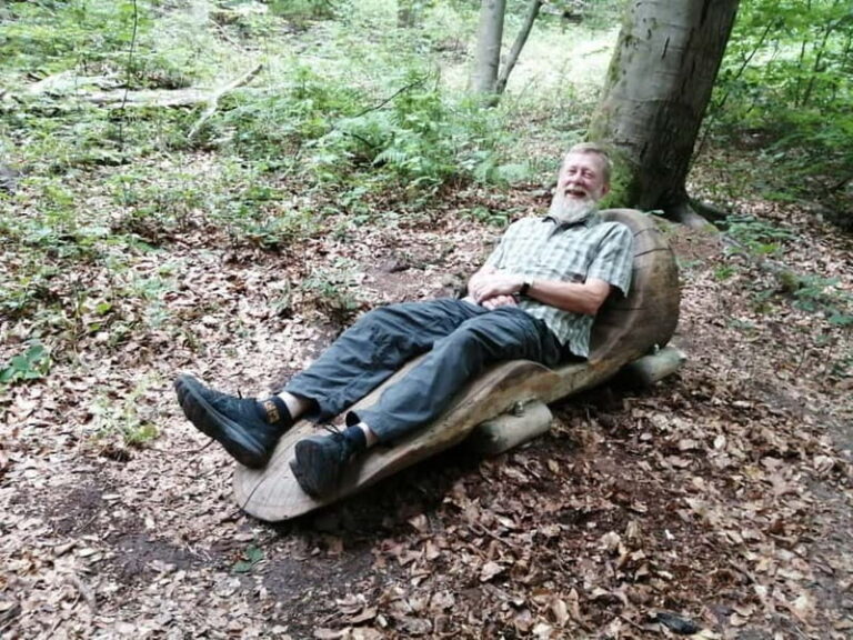 Rotenburg an der Fulda: Forest bathing with a certified guide - The Ritual: Easing into the Forest