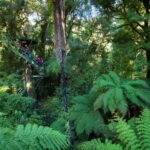 Rotorua: 6 Ziplines, 400m Tandem, Cliff Walk & Swing Bridges - Exploring the Experience in Detail
