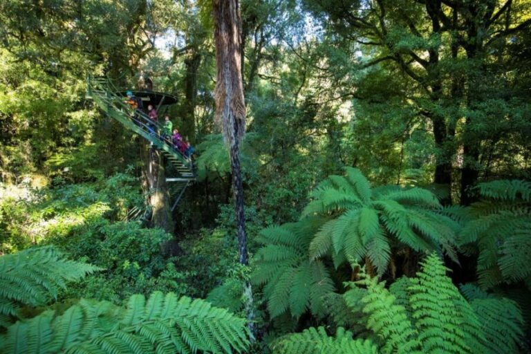 Rotorua: 6 Ziplines, 400m Tandem, Cliff Walk & Swing Bridges - Exploring the Experience in Detail