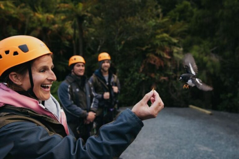 Rotorua: 6 Ziplines, Swing-Bridges & Wildlife Encounters - What Makes It Stand Out?