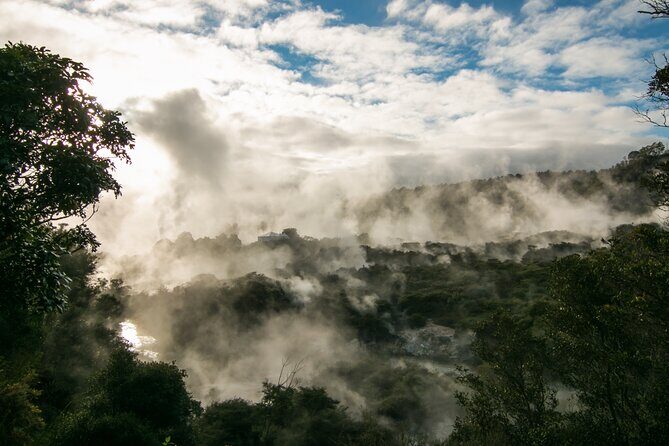 Rotorua Cultural Small Group Afternoon Tour - A Deep Dive into Rotorua’s Cultural and Geothermal Delights