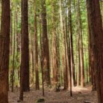 ROTORUA Highlights Tour In A Small Group - Why This Tour Offers Value