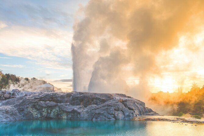 Rotorua Highlights Tour inc. Te Puia Tour, Lunch & Cultural Show - Exploring Rotorua on a Guided Day Trip