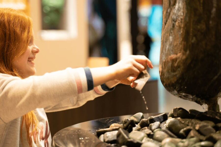 Rotorua: Jade Carving Experience at a Local Studio - Why This Experience Is a Great Value