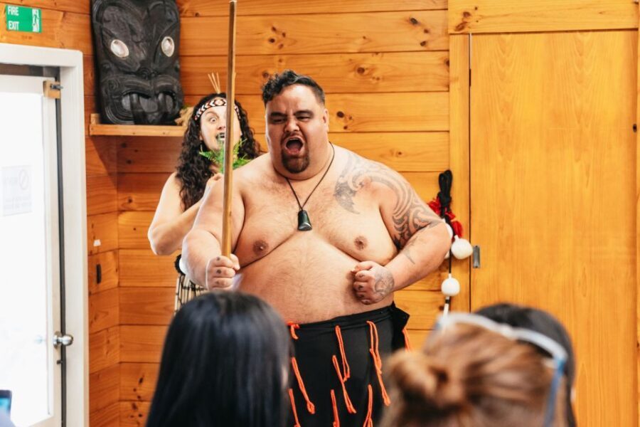 Rotorua: Mori Cultural Performance with Dancing - The Sum Up: Who Is This Tour Best For?