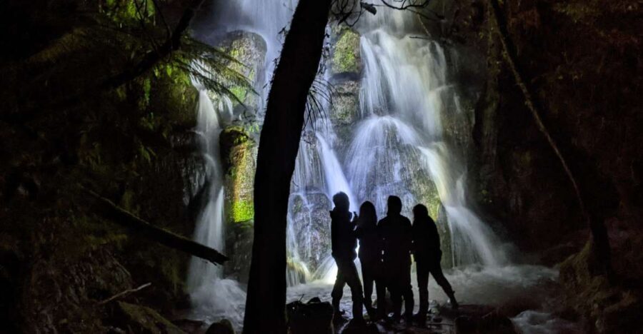 Rotorua: Nocturnal Glow-Worm Adventure Tour with a Guide - What to Expect During the Walk