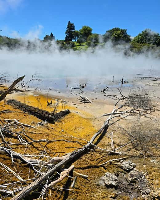 Rotorua: Private Day Tour with Tesla Model Y - An In-Depth Look at the Rotorua Private Tesla Tour
