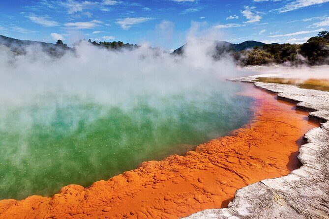Rotorua Private Tour from Tauranga (up to 11 people) - Who Would Find This Tour Most Useful?