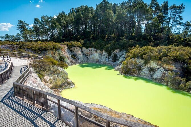 Rotorua Private Tour from Tauranga (up to 15 people) - Why Choose This Tour?