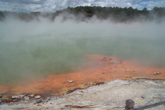 Rotorua Small-Group Day Tour from Auckland - Why This Tour Works for You