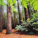 Rotorua & Taupo DayTour with Waiotapu & Huka Falls from Auckland - Who Would Love This Tour?