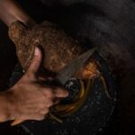 Rotorua: Te Pa Tu Mori Cultural Experience with Dinner - The Cultural Foundations