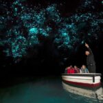 Rotorua to Auckland Afternoon Transfer with Waitomo Glow Worms - FAQ