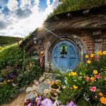 Rotorua to Auckland via Hobbiton Tour with Lunch - One Way - Who Will Love This Tour?