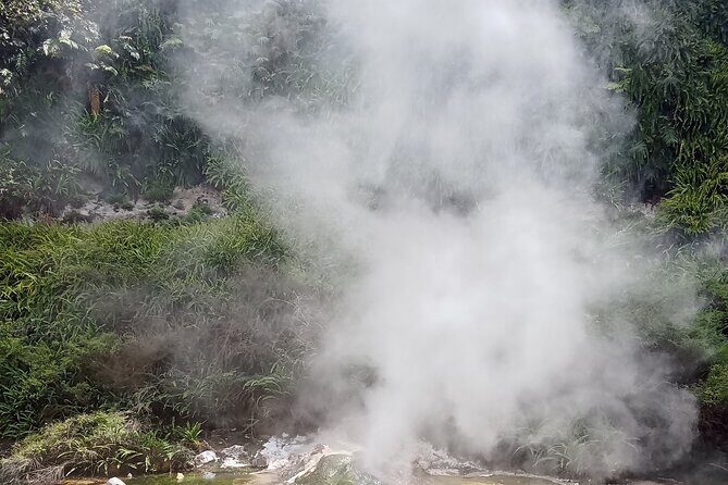 Rotorua to Waimangu Volcanic Valley Morning Shuttle - The Sum Up