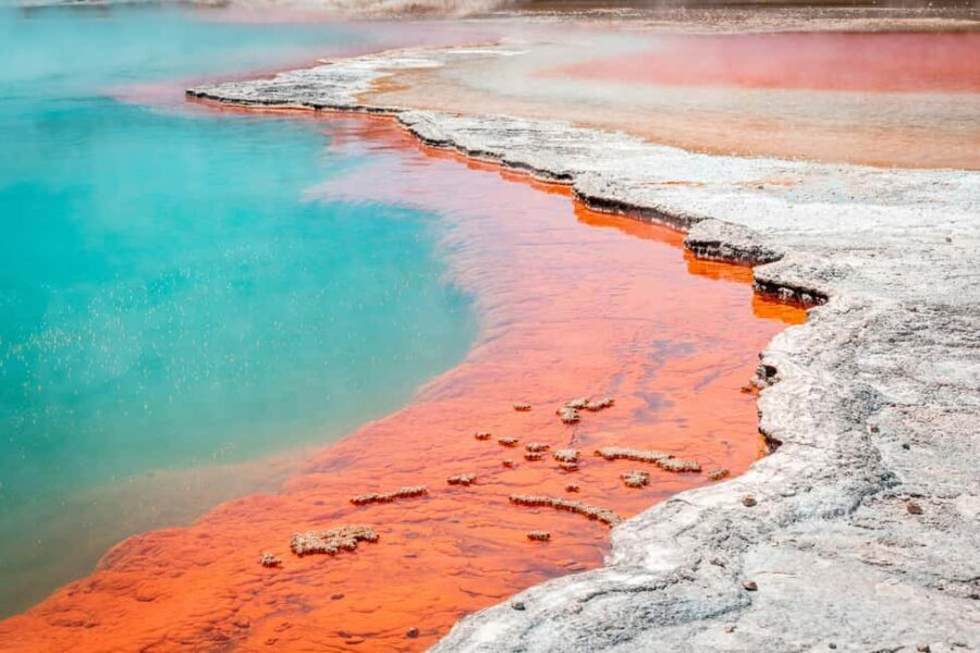 Rotorua: Wai-O-Tapu Geothermal Park Entry Ticket - Ticketing and Entry