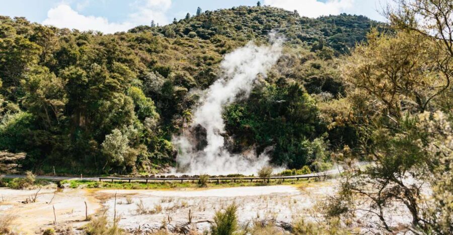 Rotorua: Waimangu Volcanic Valley Ticket & Self-Guided Walk - Exploring Waimangu Volcanic Valley: A Natural Wonderland