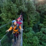 Rotorua's Biggest Zipline Adventure - Ultimate Canopy Tour - Who Will Love This Tour?