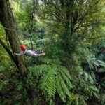 Rotoruas Original 3hr Unique Ancient Forest Zipline Adventure - The Itinerary in Detail