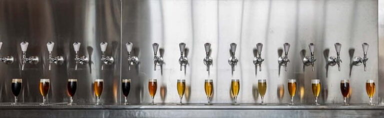 Rotterdam: Beer Brewery 'Noordt' Beer Tasting - What to Expect from This Beer Tasting Experience