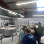 Rotterdam: Kinderdijk UNESCO Cheese Farm Experience - Analyzing the Value
