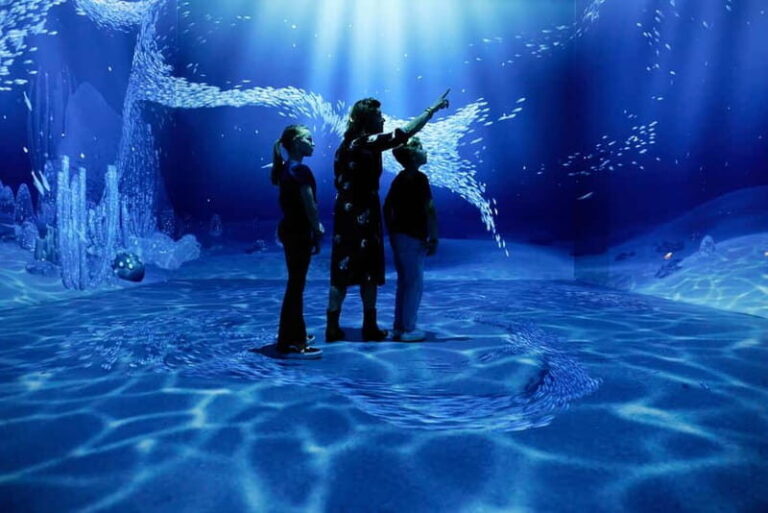 Rotterdam: "Remastered" Digital Art Audiovisual Experience - The Sum Up: Who Should Visit?
