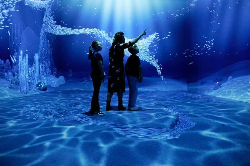 Rotterdam: "Remastered" Digital Art Audiovisual Experience - The Sum Up: Who Should Visit?