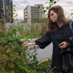 Rotterdam Travel to the Future Walking Tour - FAQ