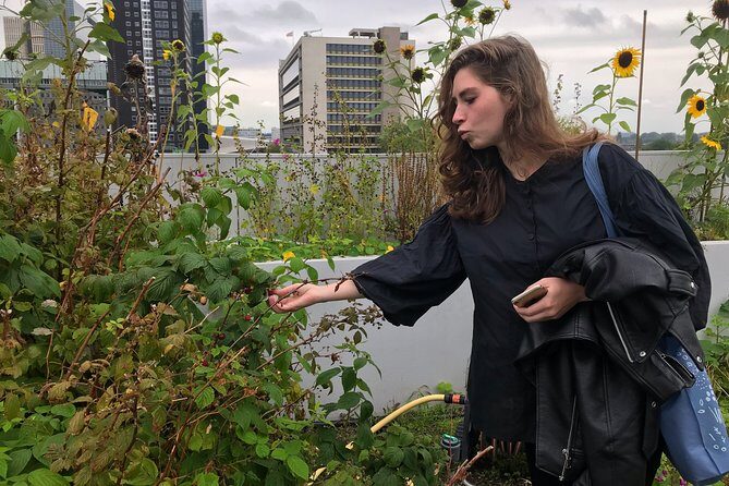 Rotterdam Travel to the Future Walking Tour - FAQ