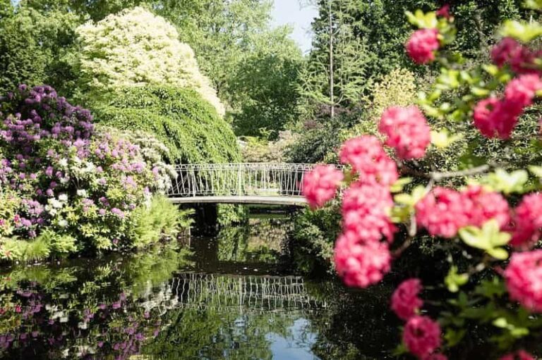 Rotterdam: Trompenburg Botanical Gardens Entry Ticket - Final Thoughts: Who Should Visit Trompenburg?