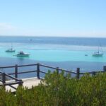 Rottnest Bayseeker Bus Tour from Hillarys Boat Harbour - The Guided Bus Tour: Covering the Island’s Highlights
