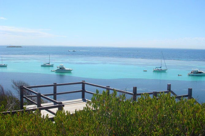 Rottnest Bayseeker Bus Tour from Hillarys Boat Harbour - The Guided Bus Tour: Covering the Island’s Highlights