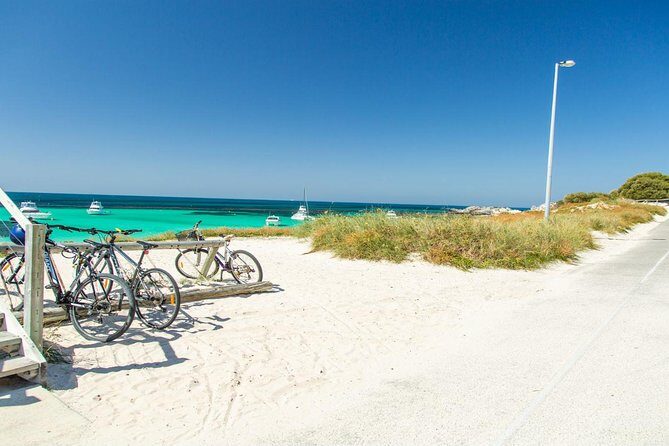 Rottnest Island Bayseeker Day Trip from Perth - The Sum Up: Is the Rottnest Island Bayseeker Day Trip Worth It?