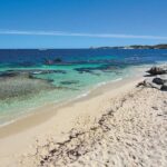 Rottnest Island Bayseeker Tour - Final Thoughts: Is It Worth It?
