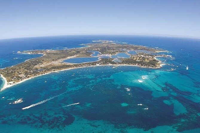 Rottnest Island ECO E Bike Tour - The Value of This Tour