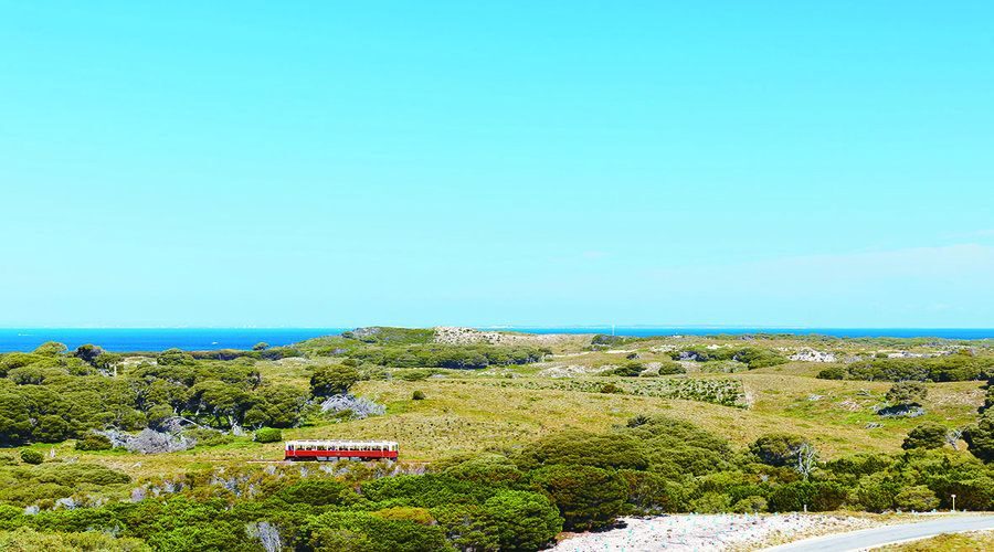 Rottnest Island: Grand Bus and Train Tour with Lunch - The Value and Practicalities