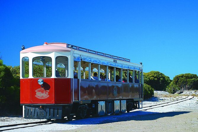 Rottnest Island Grand Tour Including Lunch and Historical Train Ride - Frequently Asked Questions