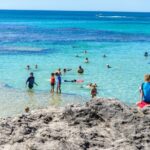 Rottnest Island Roundtrip Fast Ferry from Hillarys Boat Harbour - In-Depth Review of the Rottnest Island Ferry Trip