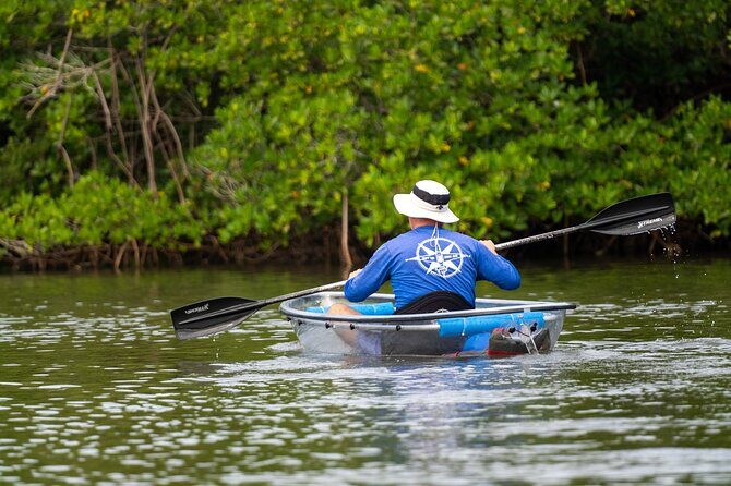 Round Island 2-Hour Glass Bottom Guided Kayak Eco Tour - Authentic Experiences and Authentic Wildlife Viewing