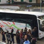 Round-Trip to Vesuvius National Park From Ercolano - The Whole Experience: A Deep Dive