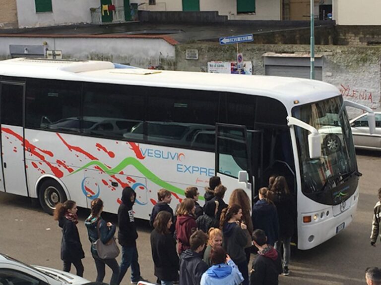 Round-Trip to Vesuvius National Park From Ercolano - The Whole Experience: A Deep Dive