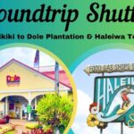 Roundtrip Shuttle From Waikiki to Dole Plantation & Haleiwa Town - Why This Tour Offers Good Value