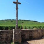 "Route des grands crus", private wine tasting in Burgundy ! - The First Wine Tastings: A Private Introduction