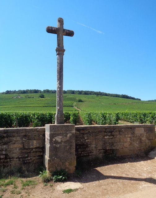 "Route des grands crus", private wine tasting in Burgundy ! - The First Wine Tastings: A Private Introduction